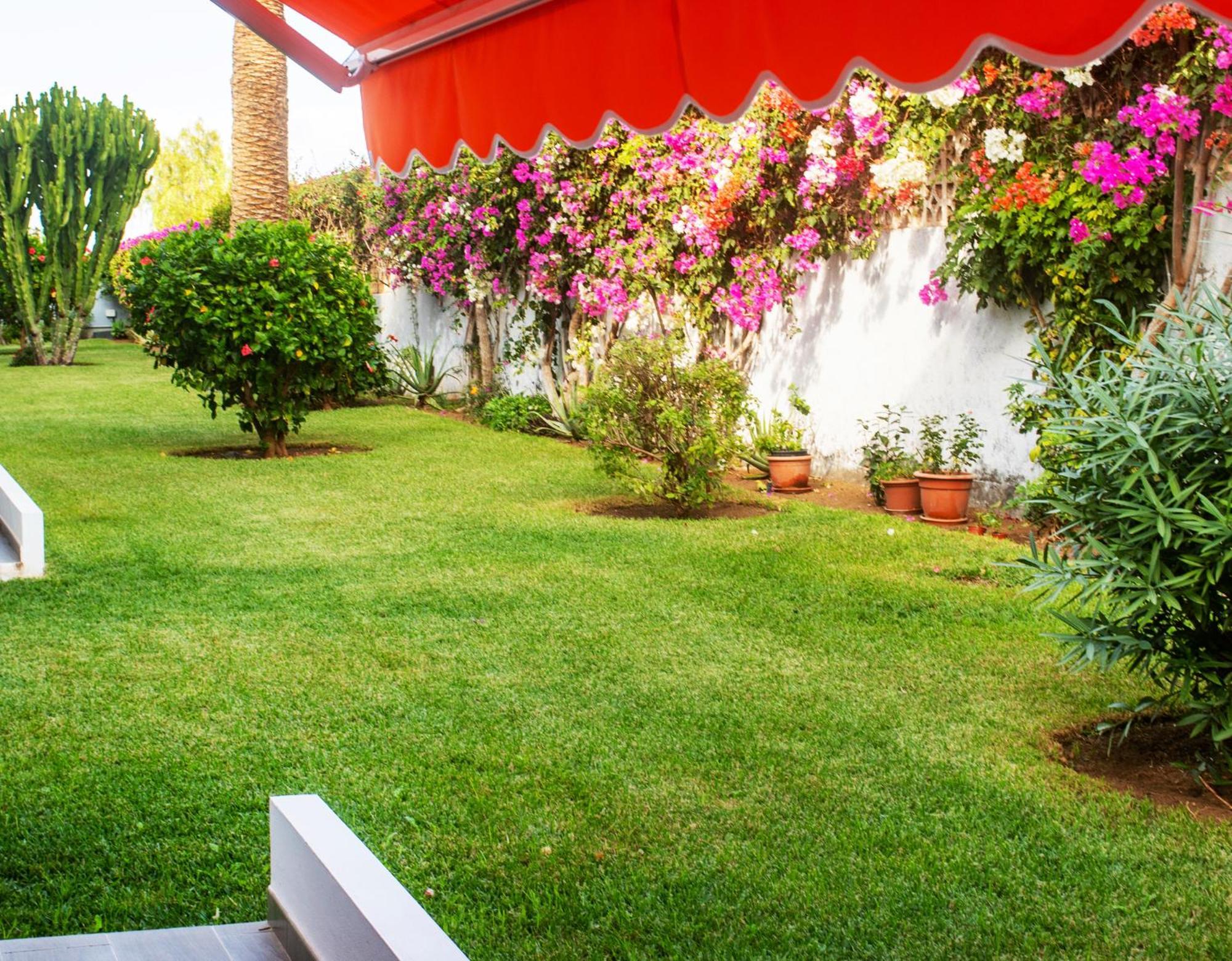 Casa Tranquila Lejlighed Puerto de la Cruz  Eksteriør billede